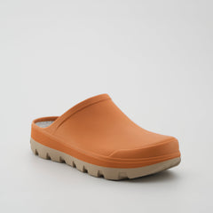 Orange-Fossil